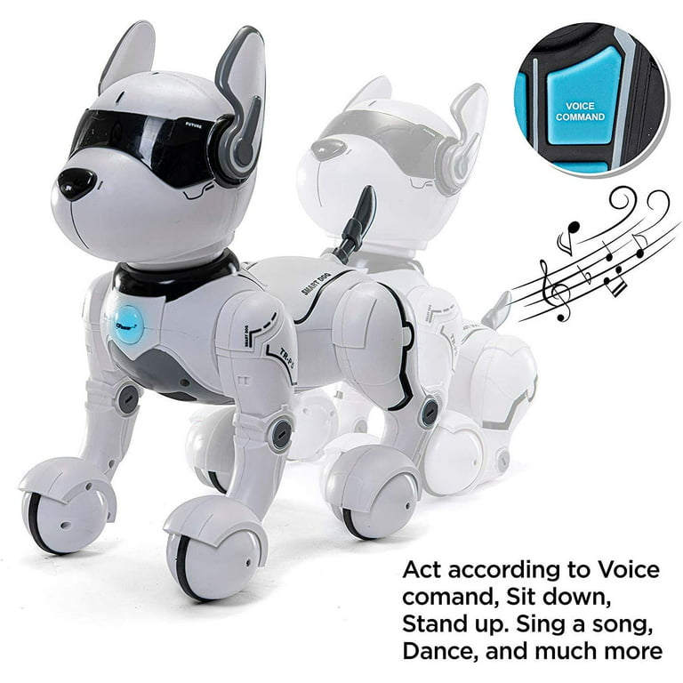 Toy For Girls Kids Children Robot Dog Puppy for 3 4 5 6 7 8 9 10 Years Olds  Age