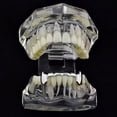thumbnail image 6 of Vampire Fangs Half Grillz Silver Tone Slim Bottom Lower Fang Canine Teeth Grills, 6 of 6