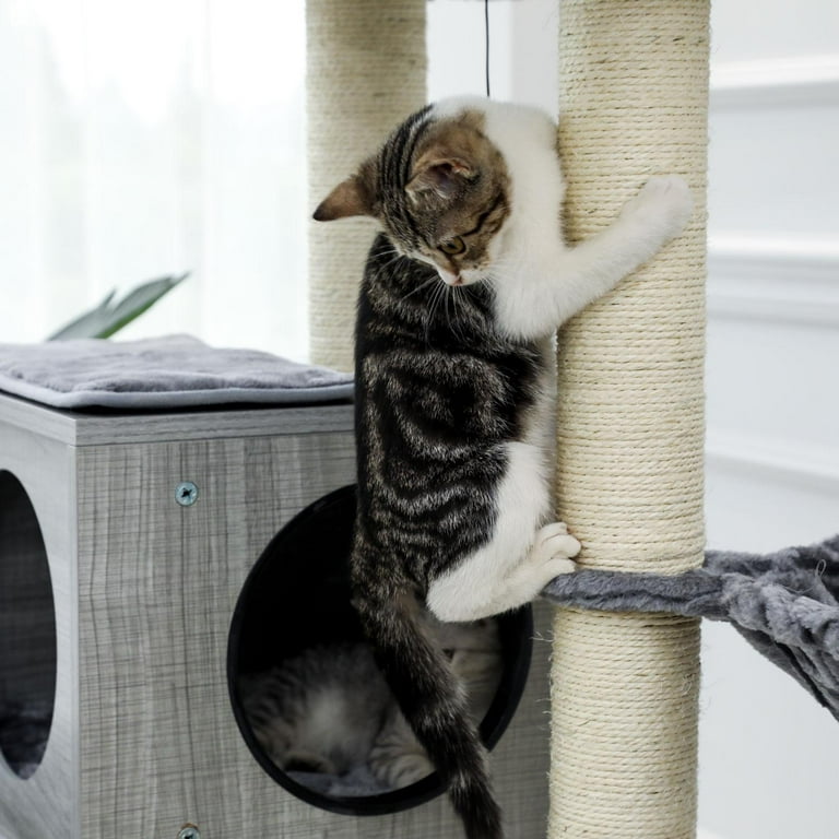 Hennessy 43 modular modern cat clearance tree