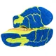 thumbnail image 5 of New Balance Fresh Foam X 1080 v12 Running Shoe Yellow Blue M1080Q12 Mens Size 14, 5 of 5