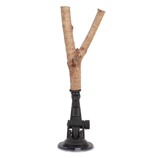 And Entertain Your Feathered Friend With The Bird Branch Perch Stand Bird Branch Perch Stand Parakeets Stand Training Interactive Prevent Slip Wooden Parakeets