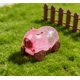 thumbnail image 5 of Juguete Capybara Fidget Car para adultos – Juguete deformable de 4 ruedas para planear, pelota antiestrés capybara blanda y blanda, coche de tira hacia atrás para alivio y diversión, 5 of 5