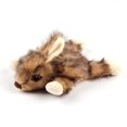 thumbnail image 2 of Orel le lapin Classic All for Paws, 2 of 3