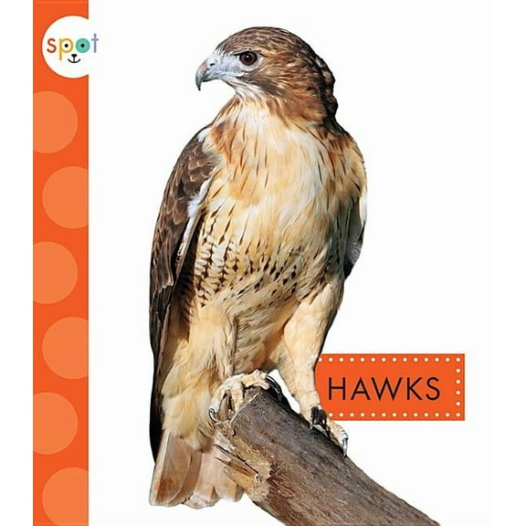 Spot Backyard Animals: Hawks (Paperback)