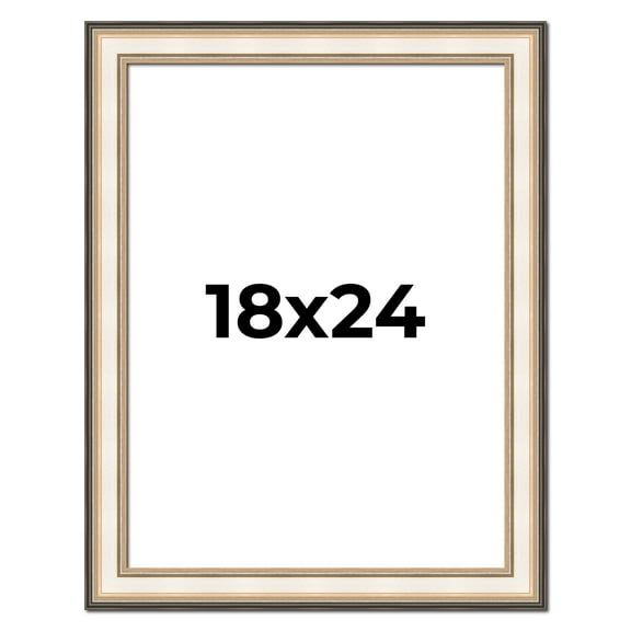 18x24 Frame Gold Silver Plein Aire 2" Inch Wide Moulding Solid Wood Picture Frame | Modena