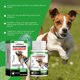 thumbnail image 5 of Pet Noise Reduction spray Soothes Pets' Emotion, Prevents Stress, Reduces Pet Noise spray, 5 of 5