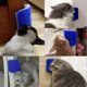 thumbnail image 4 of Cepillo para gatos KAIYANG Peine de aseo suministros para esquinas de pared azul, 4 of 5