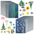 thumbnail image 2 of Kit de Papel de Cianotipo A4 de 38 Hojas de Papel de Impresión Solar con 2 Hojas Acrílicas Transparentes, Papel de Dibujo Solar de Alta Sensibilidad, 2 of 5