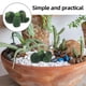 thumbnail image 4 of 3 piezas de microplantas de resina, cactus para decoración del hogar, cactus artificiales, figuras en miniatura para jardín, suculentas artificiales, cactus de resina, 4 of 7