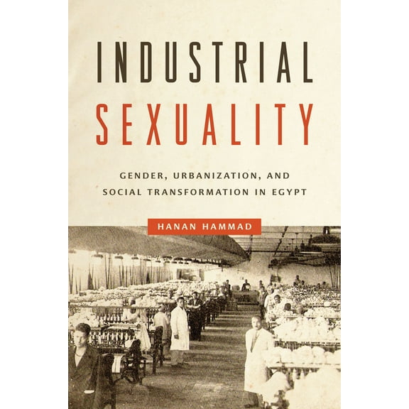 Industrial Sexuality : Gender, Urbanization, and Social Transformation in Egypt (Paperback)
