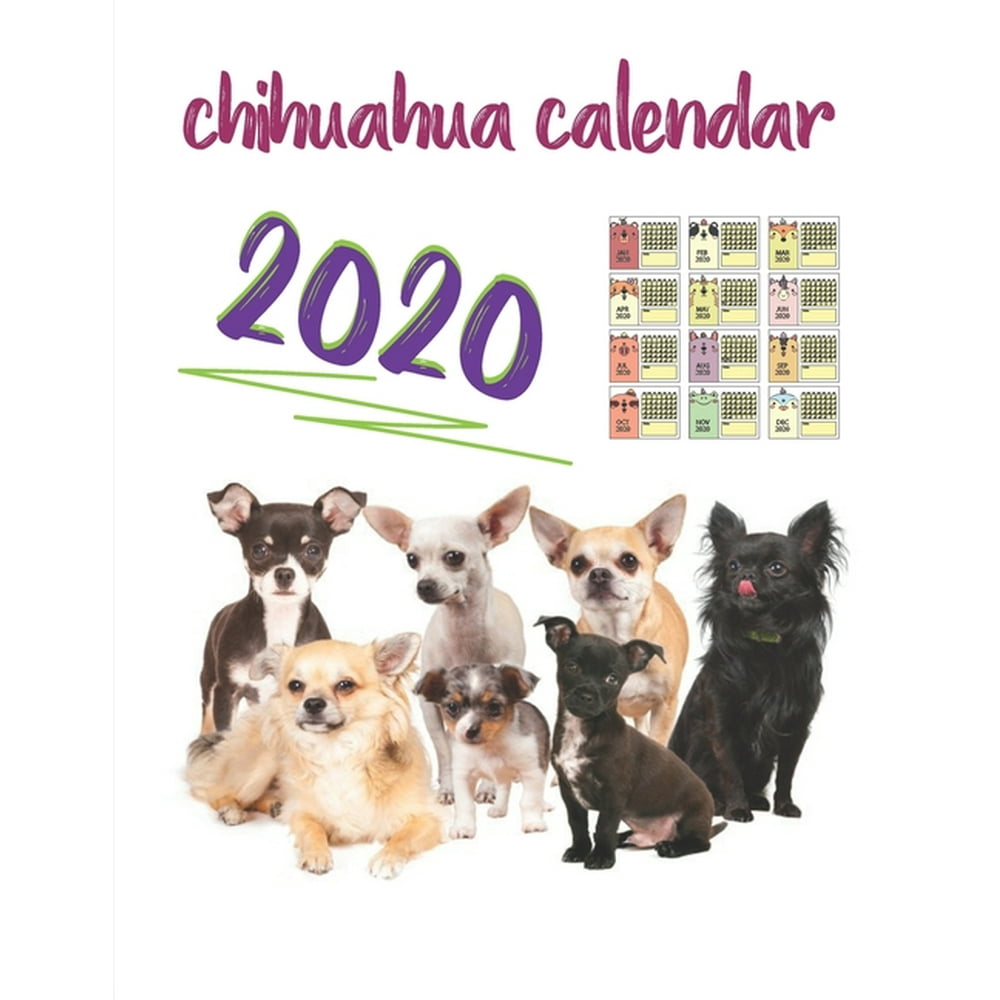 chihuahua calendar 2020 : The best (Dog Breed Calendar) Monthly Wall or