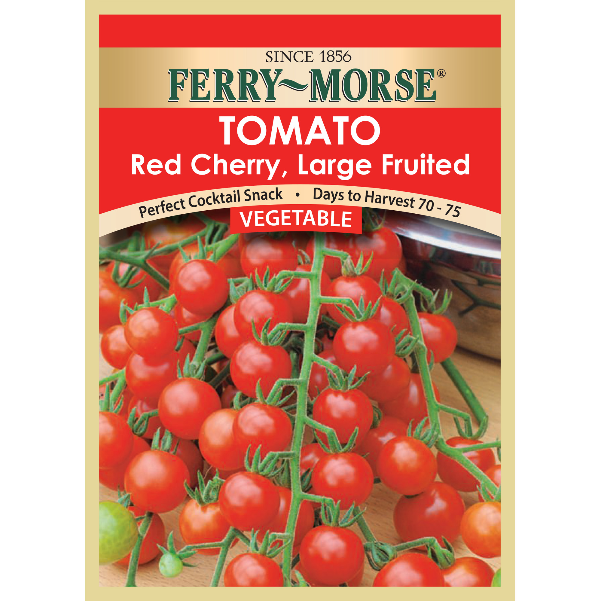 Vegetable seed TomatoLargeRedCherry