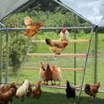 thumbnail image 6 of PETSFIT Square Chicken Roosting Perch, Perfect for Backyard Poultry, Chickens Perch for Coop, Easy to Assemble&Clean, Farm Chicken Toys (55" L x 40" W), 6 of 9