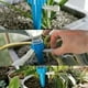 thumbnail image 5 of Whataatahia Botella de riego por Goteo, regadera automática para Plantas, riego por Goteo, con válvulas reguladoras, para jardín, hogar, Interior y Exterior, 5 of 5