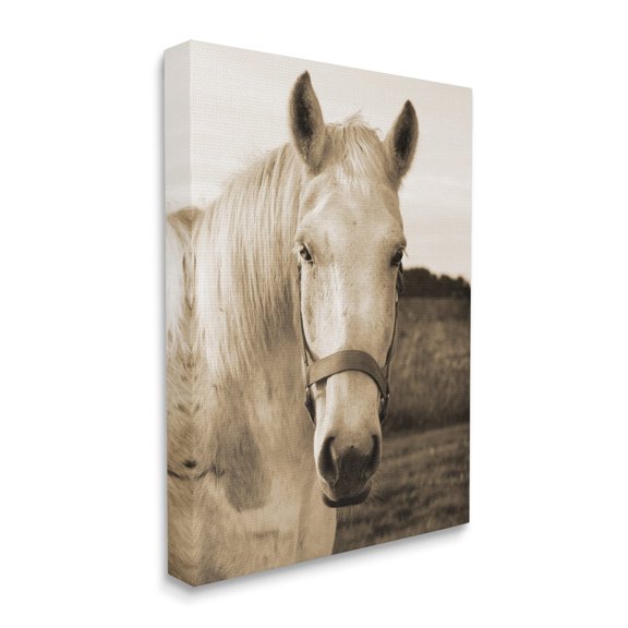 Stupell Industries Rustic Sepia tone Portrait of White Horse,30 x 40,Designed by Suzanne Foschino