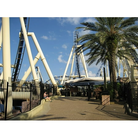 Canvas Print Florida Park Roller Coaster Amusement Park Stretched Canvas 32 x