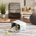 thumbnail image 3 of Bone Dry Pet Storage Collection Collapsible Bin, 3 of 5