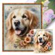 thumbnail image 1 of Kit Punto Cruz Perro Impreso Hilo Algodón Ecológico Bordado Arte 40x50cm 11CT, 1 of 9