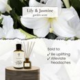 thumbnail image 3 of Pristine Lily & Jasmine Diffuser Refill with Free Reed Stick | Lily of Valley & Jasmine Room Fragrance Reed Diffuser, Oil & Room Diffusers with Reeds Stick Set | Refreshing Home Fragrance Scent, 3 of 8