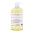 thumbnail image 2 of Gel Douche Naturel Omega-3 Chanvre & Aloe Noix de Coco, 2 of 6