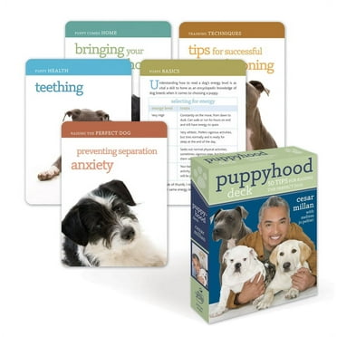 Puppyhood Deck: 50 Tips for Raising the Perfect Dog (Other)