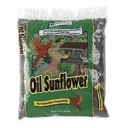 OIL SUNFLOWER BSEED 2LB