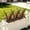 Green, variant on Taicans Artificial Boston Fern & Tropical Plants,Faux Plants Outdoor Fake Boston Ferns Potted Plants Realistic Agave Metal Greenery Patio Outside Shrubs Flower Grass Front Porch Decor
