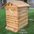 thumbnail image 3 of Boîte de Ruche Apicole, Super Boîte de Ruche Apicole Accessoire Auto Cadres de Ruche Abeille de Qualité Professionnelle, 3 of 8