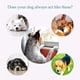 thumbnail image 4 of Juguetes para la dentición y la dentición de Blue Pet: juguetes seguros, duraderos, suaves y resistentes para perros pequeños y medianos, 4 of 5