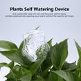 thumbnail image 4 of Samfox Plant Watering, House Plants Flowers Automatic Self Watering System Glass Watering Device, 4 of 7