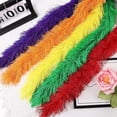 thumbnail image 7 of Scheam 5 Pcs Feather Boas Accessories 5 Ft Colorful Artificial Fluffy Boa Set Stage Costume Prom Clothing Decorations for Christmas Bachelorette Wedding Birthday Party (Multicolor C), 7 of 7