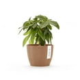 thumbnail image 4 of Ecopots Stockholm Mini Durable Modern Round Indoor/Outdoor Recycled Based Composite Flower Pot Planter, Terracotta Color, 6", 4 of 4
