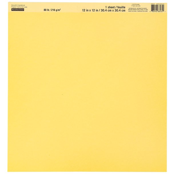 MICHAELS Bulk 60 Pack Smooth Solid Cardstock Paper by Recollections