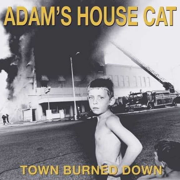 Adam's House Cat - Town Burned Down - Pop Rock - Vinyl