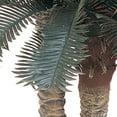 thumbnail image 3 of Nearly Natural 6' and 4' Sago Palm Double Potted Artificial Tree, 3 of 6