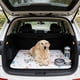 thumbnail image 1 of Almohadillas reutilizables para cachorros, de rápida absorción, para orina de perro, para jaulas, almohadillas de entrenamiento para mascotas, almohadillas impermeables para el parto, alfombrilla para, 1 of 6