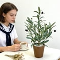 thumbnail image 4 of Artificial Olive Silk Tree in Decorative Pot, Faux Greenery Plant for Modern Home Office Decor, Realistic Small Potted Topiary, Indoor Maintenance-Free Foliage 19.7in, 4 of 6