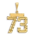 thumbnail image 3 of 14k Yellow Gold Small Diamond-cut Number 73 Charm Pendant, 3 of 3