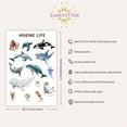 thumbnail image 3 of Eastern Print Educational Ocean life Poster, Toddler Activity Toys Decor, Preschool Poster, Kids Study Material Wall Art for Nursery, Classroom, Bedroom, Pre School Kids Learning, UNFRAMED 16x20, 3 of 4