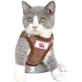 thumbnail image 2 of LAICAIW Dog Harness and Leash Set, No Pull Reflective Adjustable Pet Soft Mesh Chest Vest Harnesses Easy Control for Small Medium Dogs and Cats Outdoor Walking, 2 of 7