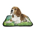 thumbnail image 2 of PKQWTM Sunlight Green Tree Forest Spring Landscape Pet Dog Cat Bed Pee Pads Mat Cushion Potty Dogsblankets Crate Bed Kennel 20x24 inch, 2 of 3