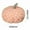 Orange, variant on Floor Mats for Home Pumpkin Pillow Wool Filling Pumpkin Pillow Pumpkin Shaped Floor Mat Pumpkin Gift Home Decoration Toys Pumpkin Decorations for Home