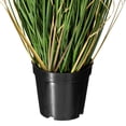 thumbnail image 2 of Vickerman 36" Artificial Potted Green Curled Grass., 2 of 6