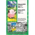thumbnail image 4 of Juego de cartas coleccionables Pokémon TCG Mega Evolution Ascended Heroes, 4 of 4