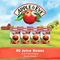 Apple & Eve Sesame Street 100 Juice Elmo's Punch, 4.23 Fl. Oz., 8