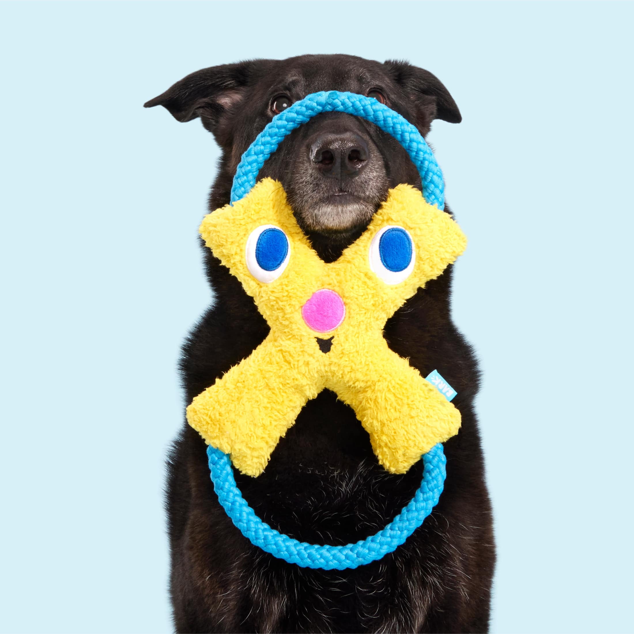 BARK Jinxie Blue Yellow Play Pal Buddy Plush Dog Toy, All Size Dogs