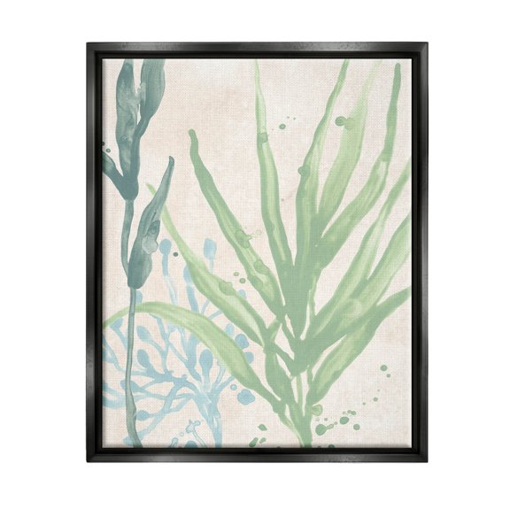 Stupell Industries Aquatic Seaweed Botanicals Graphic Art Jet Black Floating Framed Canvas Print Wall Art, Design by June Erica Vess