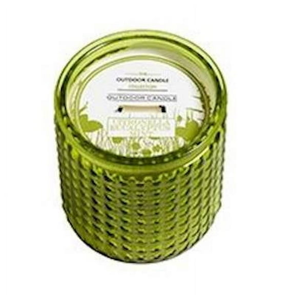 EUCALYPTUS MINT Hillhouse Naturals 15 oz Large Glass Scented Jar Candle