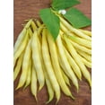 thumbnail image 4 of Burpee Organic Golden Wax Improved Garden Bean,  Annual Vegetable Seed, Full Sun, 4 of 5