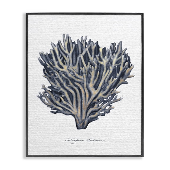 Stupell Industries Tropical Sea Life Coral Watercolor Black Framed Giclee Art, 11 x 14, by Ziwei Li